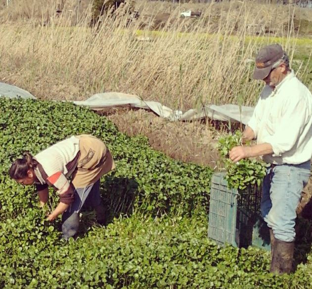 Júlia e António Henriques
